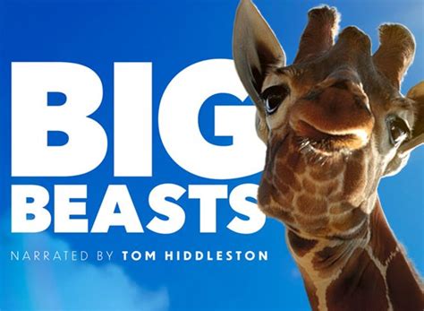 big beasts torrent|Big Beasts (TV Series 2023– ) .